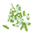 thumbnail image 1 of Maytalsory 100pcs Decor With Satin Ribbon Flowers Beautiful And Versatile Choice Beautiful green 1Set, 1 of 6
