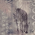 thumbnail image 2 of Haase, Andrea 26x26 White Modern Wood Framed Museum Art Print Titled - Africa Wildlife, 2 of 4