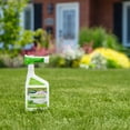 thumbnail image 2 of Scotts Liquid Turf Builder Starter Fertilizer 7-12-15 946ML/55m2, 2 of 5