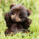 thumbnail image 5 of Purely Handmade Plush Baby Bears - Cute Bear Stuffed Animals, Lifelike Classic Teddy Bear, Premium Stuffed Animal-SDR hwy, 5 of 5