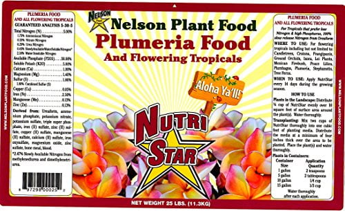 Nelson Plumeria Plant and All Flowering Tropicals Food Ferns Orchids Lilys In... 