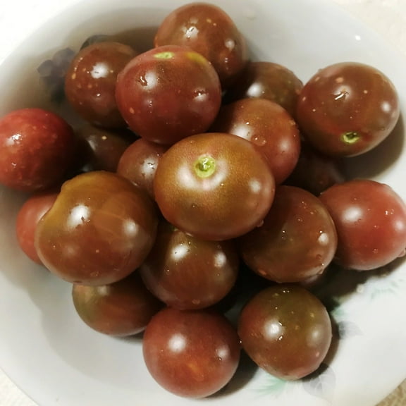 Kevin's Large Black Cherry Tomato Seeds