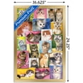 thumbnail image 3 of Keith Kimberlin - Kittens Collage Wall Poster, 14.725" x 22.375", Framed, 3 of 3