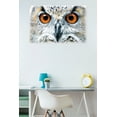 thumbnail image 2 of Owl - Close Wall Poster, 22.375" x 34", 2 of 2
