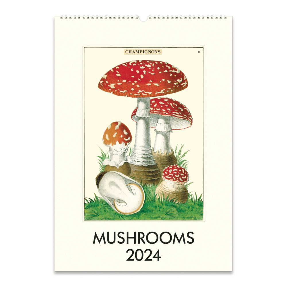 Cavallini Papers & Co., Mushrooms 2024 Poster Wall Calendar