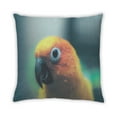 thumbnail image 2 of Ahgly Company Animals Parrot Coussin Extérieur, 18 Pouces par 18 Pouces, 2 of 6