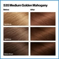 thumbnail image 4 of Revlon Total Color Permanent Hair Color, Clean and Vegan, 100% Gray Coverage Hair Dye, 535 Medium Golden Mahogany, 5.94 fl oz, 4 of 16
