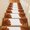 Orange, variant on Stair Treads Non Slip Indoor for Wooden Steps, Burnt Orange 15 Pcs Stair Mats for Kids Elders Dogs, 8 x 30 Inch Sparkle Gold Stained Floral Flower Art Carpet Treads Runner Rugs for Staircase