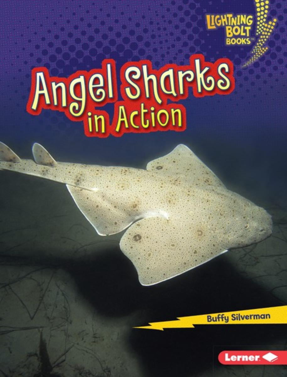 Angel Sharks in Action - eBook