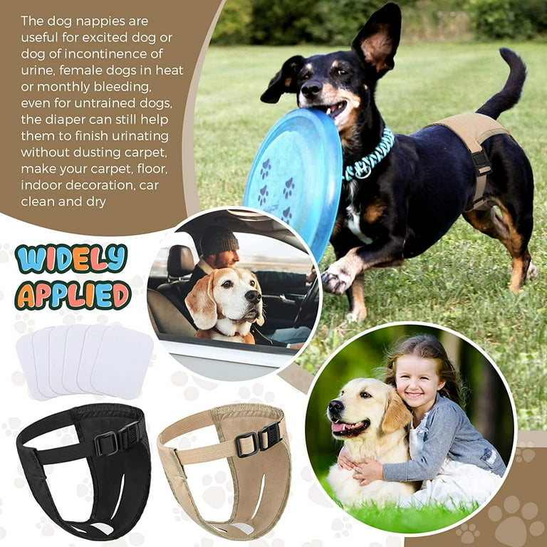 with Sanitary Pad Washable Dog Diapers Female 2 Pcs Reusable Pets