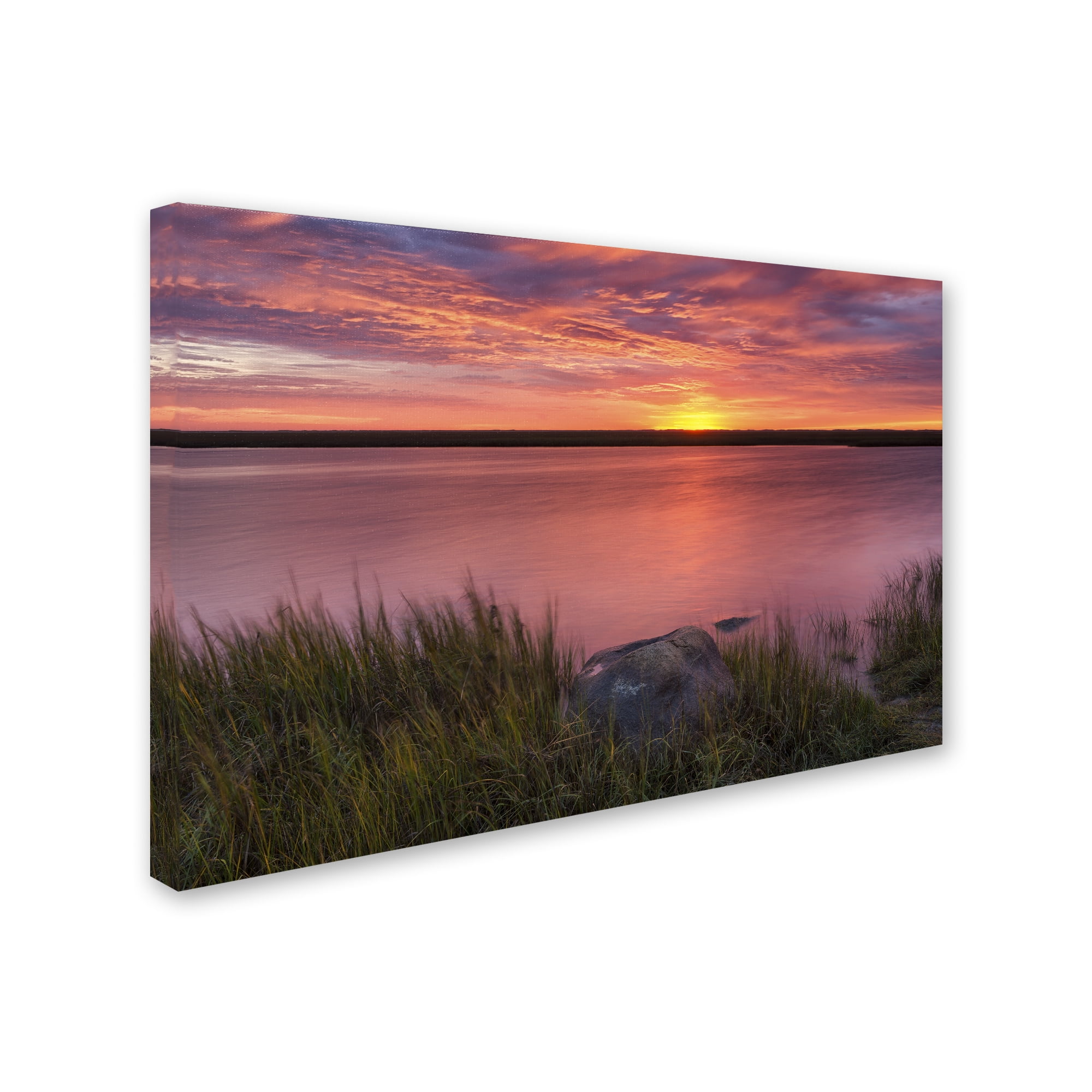 Trademark Fine Art "Windy Marsh" Canvas Art by Michael Blanchette Photography