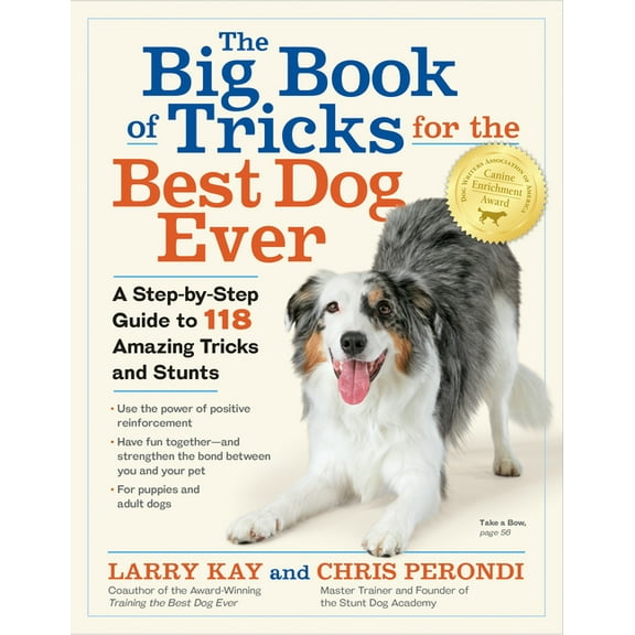 Big Book of Tricks for the Best Dog Ever - Paperback