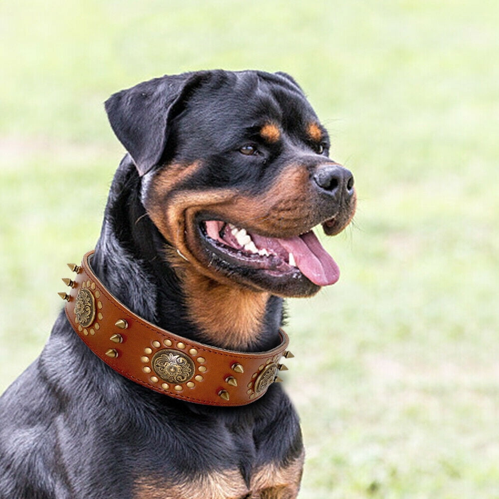 Beirui Luxury Spike Studded Genuine Leather Dog Collar Durable Adjustable for Medium Large Breed Doberman Pitbull German Shepherd L XL