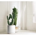 thumbnail image 5 of 12 Inch Ceramic Planter Pot with Drainage Hole and Saucer, Indoor Cylinder Round Planter Pot, White, 94-O-F-1, 5 of 6