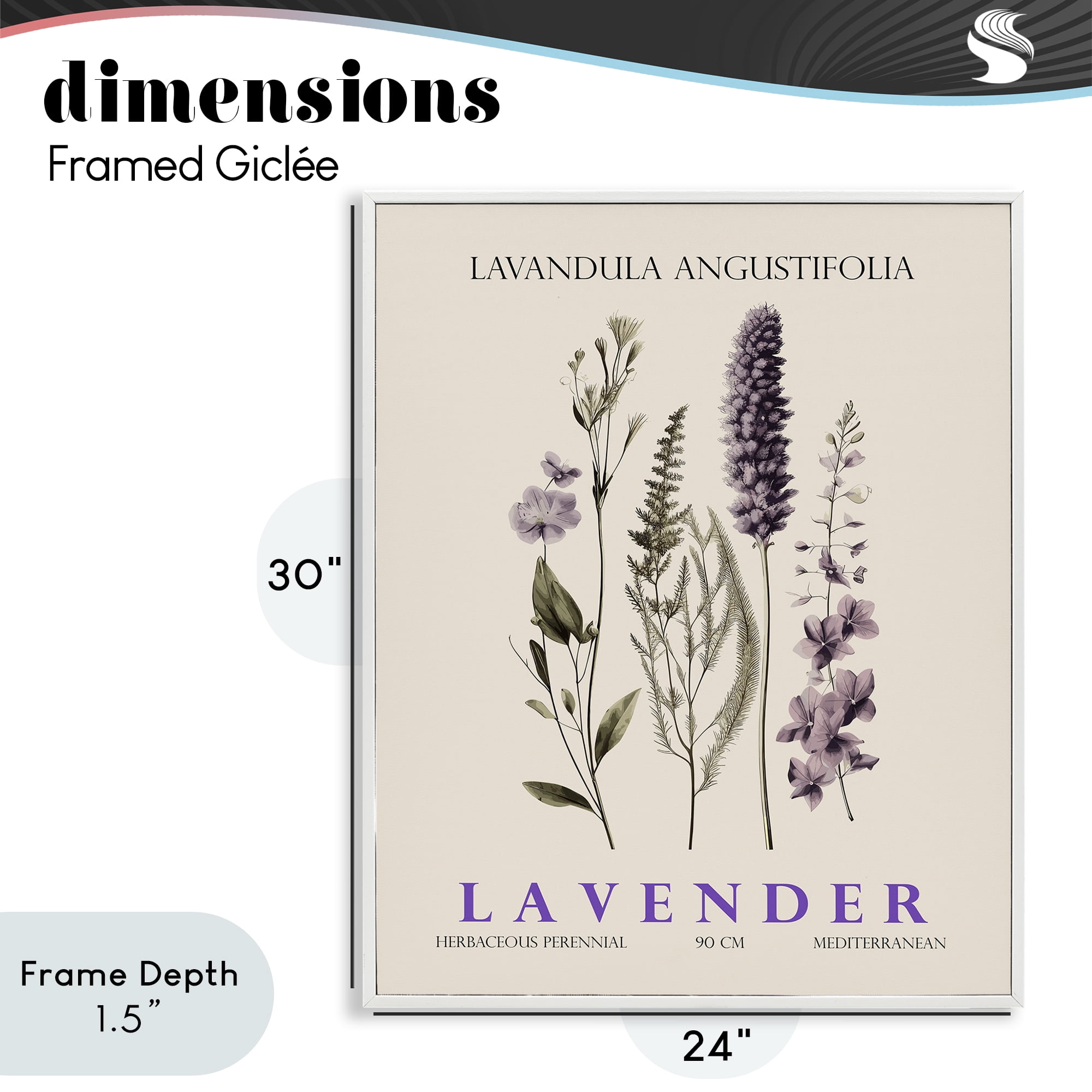 Stupell Industries Natural Lavender Bundle White Framed Giclee Art, design by Christopher Giampietro