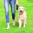 thumbnail image 3 of CBFFDC Fashionable Dog Walking Accessory Convenient Dog Outing Collecting Dispenser Portable Litter for Picking Up Pet Waste Compact Size, 3 of 7