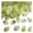 Light Green, variant on 50Pcs Glass Camellia Tea Pendant 26 x 18mm Leaf Size DIY Jewelry Making Beads Set for Necklaces Bracelets Earrings