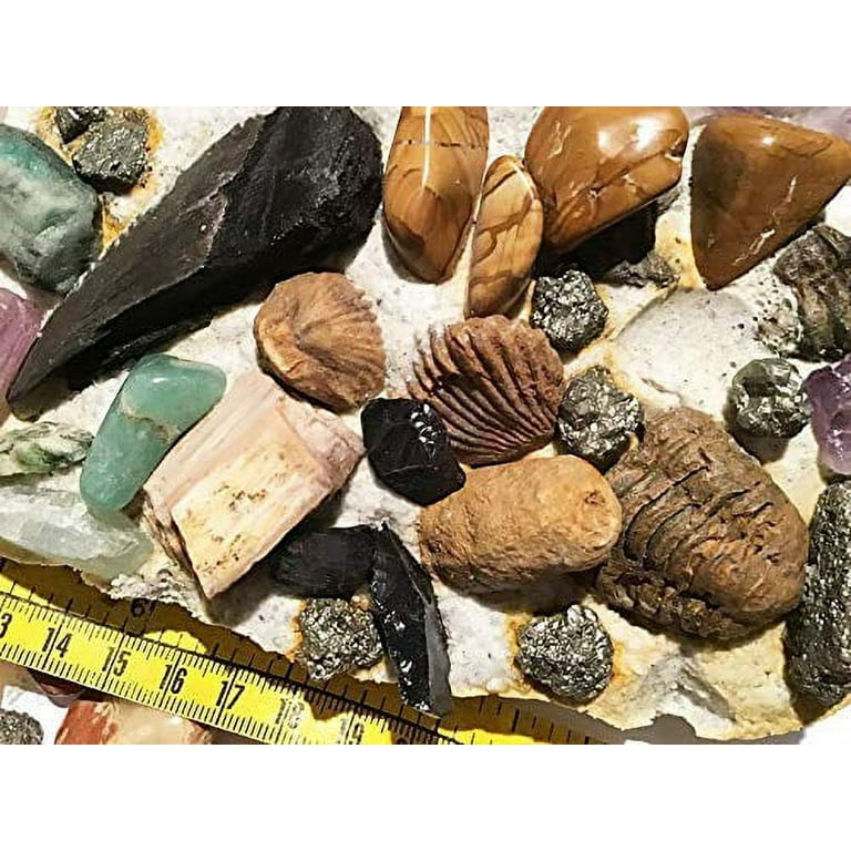 Mega Gemstone & Fossil Dig Excavation Kit Over 50 Real Specimens