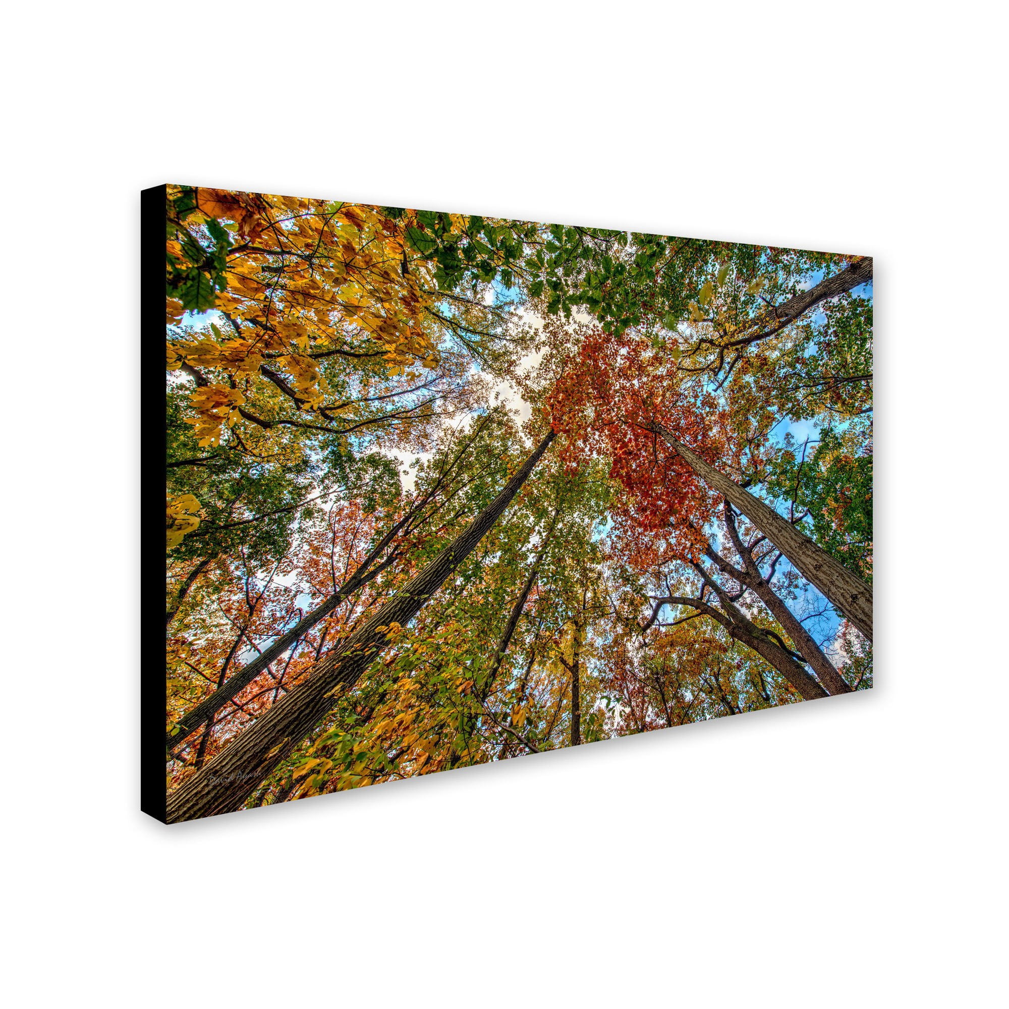 Trademark Fine Art "New York Fall-I" Canvas Art by David Ayash