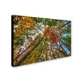thumbnail image 3 of Trademark Fine Art "New York Fall-I" Canvas Art by David Ayash, 3 of 4