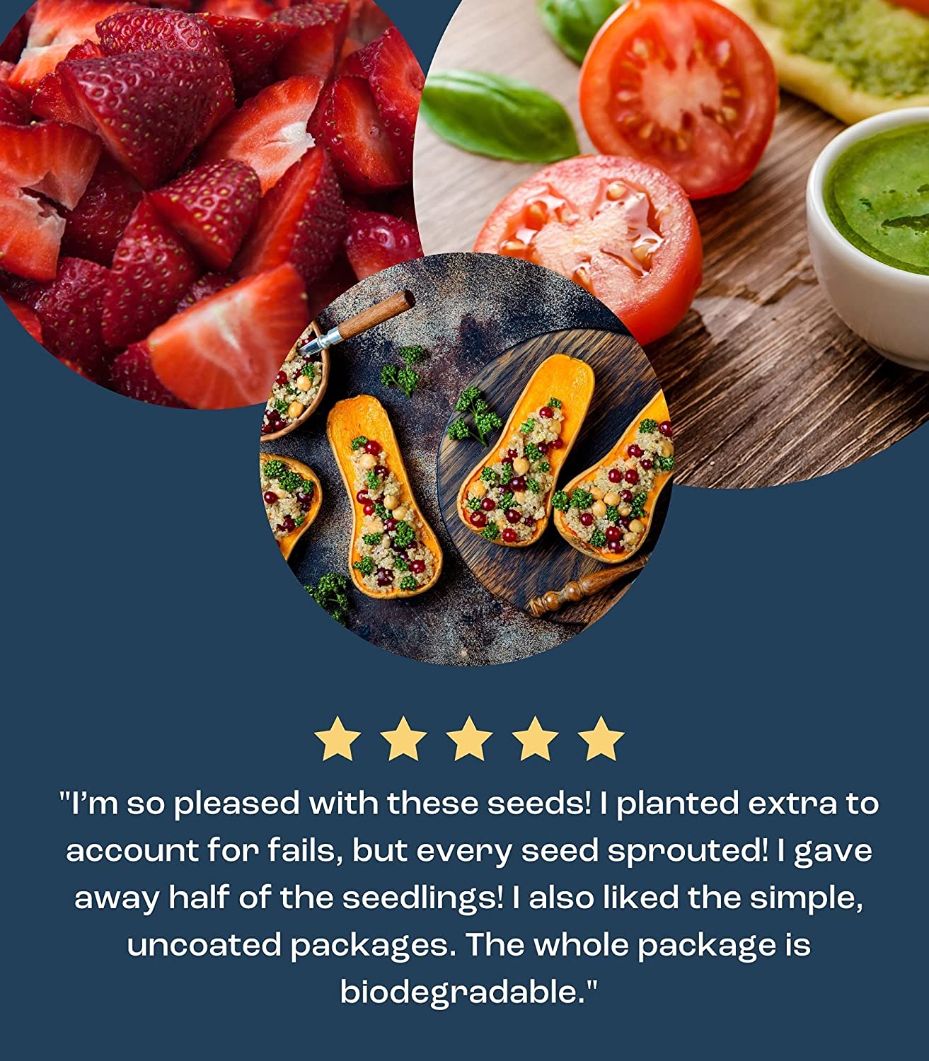 Vegetable Seeds Planting - Heirloom Non GMO Veggie Garden Plant Seeds - Great for Planting Indoor or Outdoors | Veggie Seeds Packet for Home Garden- 8 seeds to plant!