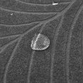 thumbnail image 4 of Funda de sofá de esquina en forma de L, impermeable, elástica, universal, para sofá de esquina en forma de L de 1, 2, 3 o 4 plazas, requiere dos plazas, gris oscuro, 4 of 8