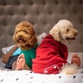 thumbnail image 7 of Midlee Green Dog Sweatshirt (Medium), 7 of 7