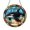 Acrylic 3.5 Inch, variant on Killer Whale Ocean Suncatcher Vibrant Plaque Item Panel Hanging Art