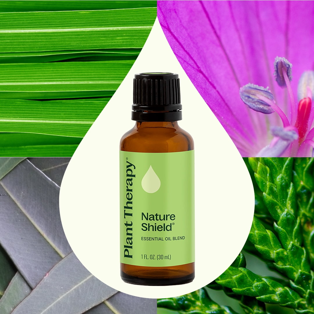 Plant Therapy Nature Shield Essential Oil Blend 30 mL (1 oz) 100% Pure, Undiluted, Natural Aromatherapy