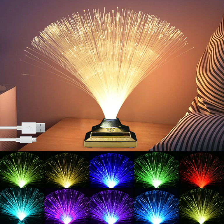 LED Optic Lamp Color Changing Fiber Optic USB Rechargeable Fiber Optic Centerpiece Remote Control Night Light Ornament for Home Office Christmas Wedding Party Decor -