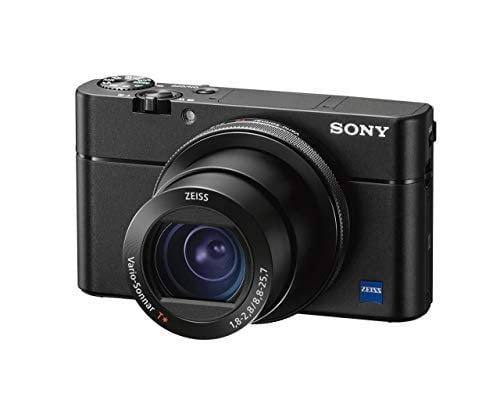 DSC-RX1R/B Cyber-shot Pro Professional Digital Camera RX1R