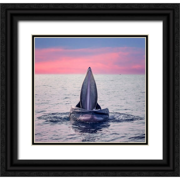 Tan Tuan, Nguyen 12x12 Black Ornate Wood Framed with Double Matting Museum Art Print Titled - BrydeS Whale Jaws