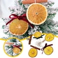 thumbnail image 2 of BKER Christmas Decorations Orange Slice Set With Rope Hanger Unique Handmade Decorations Batch Christmas Tree Holiday Farmhouse Rural Decoration Interior, 2 of 4