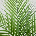thumbnail image 5 of Mainstays 30"H Artificial Indoor Palm Tree in Plastic Vanilla Planter, 5 of 7