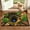 4#, variant on Todaioua 3D Illusion Rug - Sea Turtle Bath Mat Bathroom Rug, Ocean Beach Shell Underwater World Tropical Fish Summer Bathroom Kitchen Bedroom Livingroom Soft Floor Rug, 16"x24"