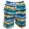 thumbnail image 1 of iBerryNY Mens Swim Trunks Swimming Shorts Board Swimwear Cargo Pockets Mesh Lining, 3 Pockets, 1 of 4