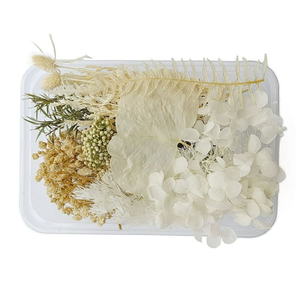 Fleurs Séchées, Moules à Bijoux En Résine Fleurs Séchées, Vraies Fleurs Sèches Naturelles, Belles Fleurs Séchées De Couleur écologique Exquise Pour la Décoration de la Maison Artisanale