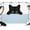 Black White, variant on Cute Black Cats Backdrop for Photography, Fabric Photo Background Backdrop, Cartoons Funny Cats Watercolor Photo Booth Background for Portrait Photoshoot Video Wedding Studio Decoration Banner 10x8ft