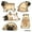 Pug Funny Playful Postures, variant on FINCIBO 5" x 5" Vinyl Decal Sticker For Notebook, Ipad - Highland Cows