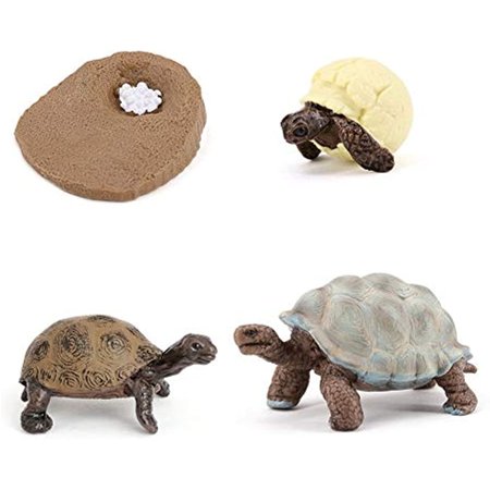 TANG DYNAS 4PCS Elephant Tortoise Animal Life Cycle,Insect Growth Cycle Model,Hand Painting Animal Figures,Educational Toy,Cake Toppers Christmas Birthday Gift for Kids Todllers