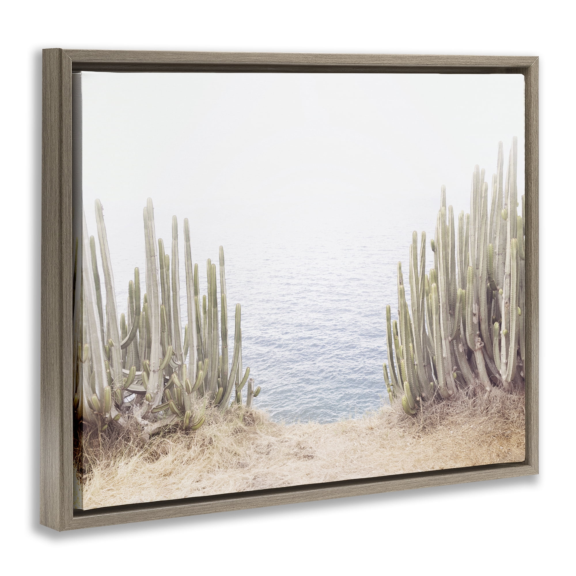 Stupell Industries Seaside Cacti Plants Nautical & Beach Photography Brown Floater Framed Canvas Art Print Wall Art, 21 x 17