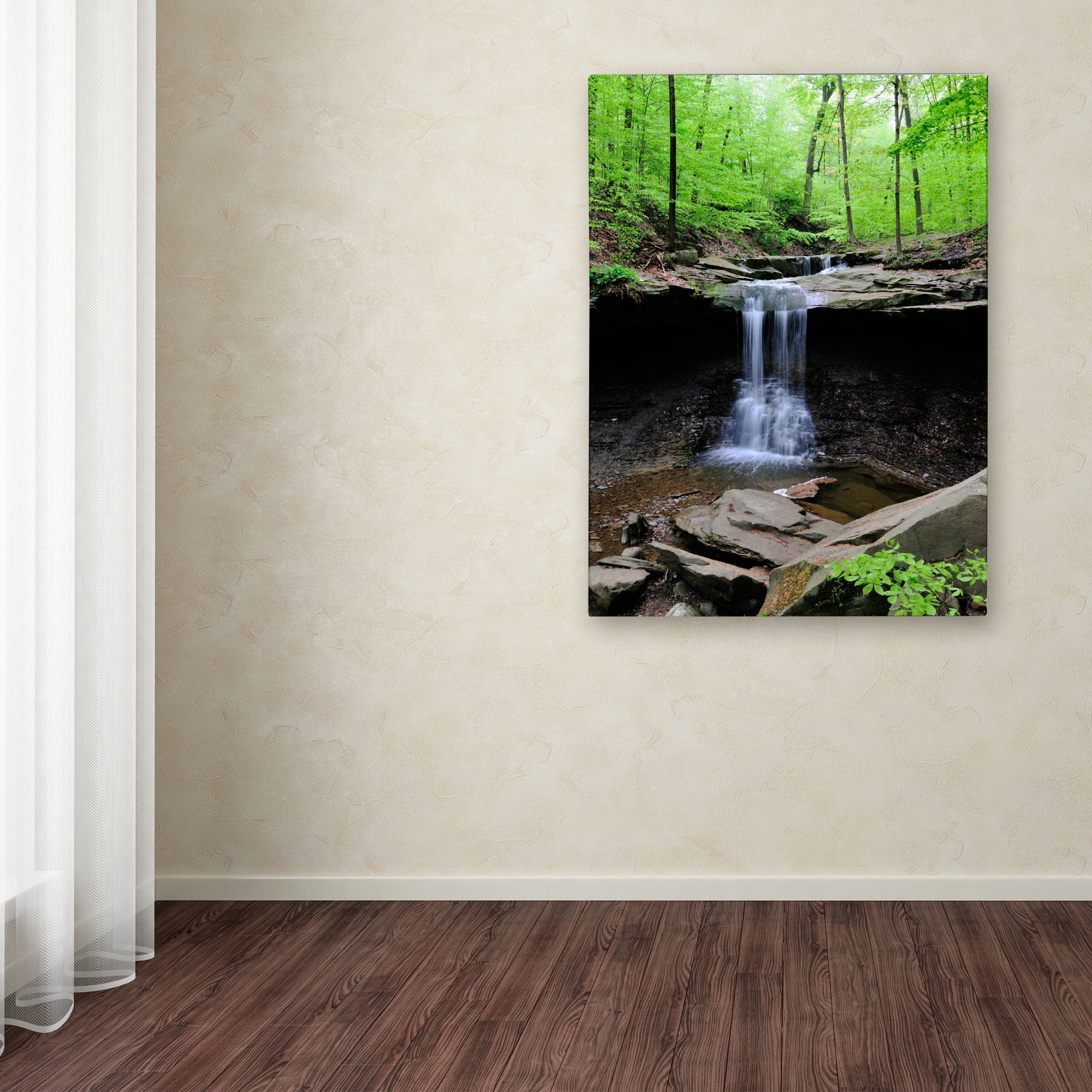 Trademark Fine Art "Blue Hen Falls" Canvas Wall Art by Kurt Shaffer