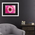 thumbnail image 3 of Trademark Fine Art 'Pink Gerber' Canvas Art by Kurt Shaffer, 3 of 4