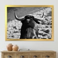 thumbnail image 3 of Designart 'Black and White Portrait Of A Spanish Bull II' Farmhouse Framed Art Print, 3 of 4