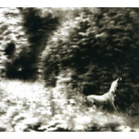 Syd Matters - Ghost Days - Music & Performance - CD