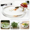 thumbnail image 2 of Terrarium en Verre Transparent Jardinière Hydroponique Décorative Vase en Verre Rond Aquarium, 2 of 9