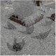 thumbnail image 4 of 5 Pack Realistic Hens Yard Ornament Chicken Shape Yard Silhouette Ornament For Lawn Path Sidewalk Yard, 4 of 5