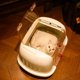 thumbnail image 2 of Bolsa de aire portátil para gatos, gatos, perros, transporte aéreo, vehículo para exteriores, estilo conveniente, caja de aire de viaje, bolsas de suministros para mascotas, 2 of 5