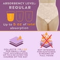 thumbnail image 5 of Wearever Women's Lovely Lace Incontinence Underwear, Regular Absorbency Bladder Control Panties, Reusable Single Pair, 5 of 12