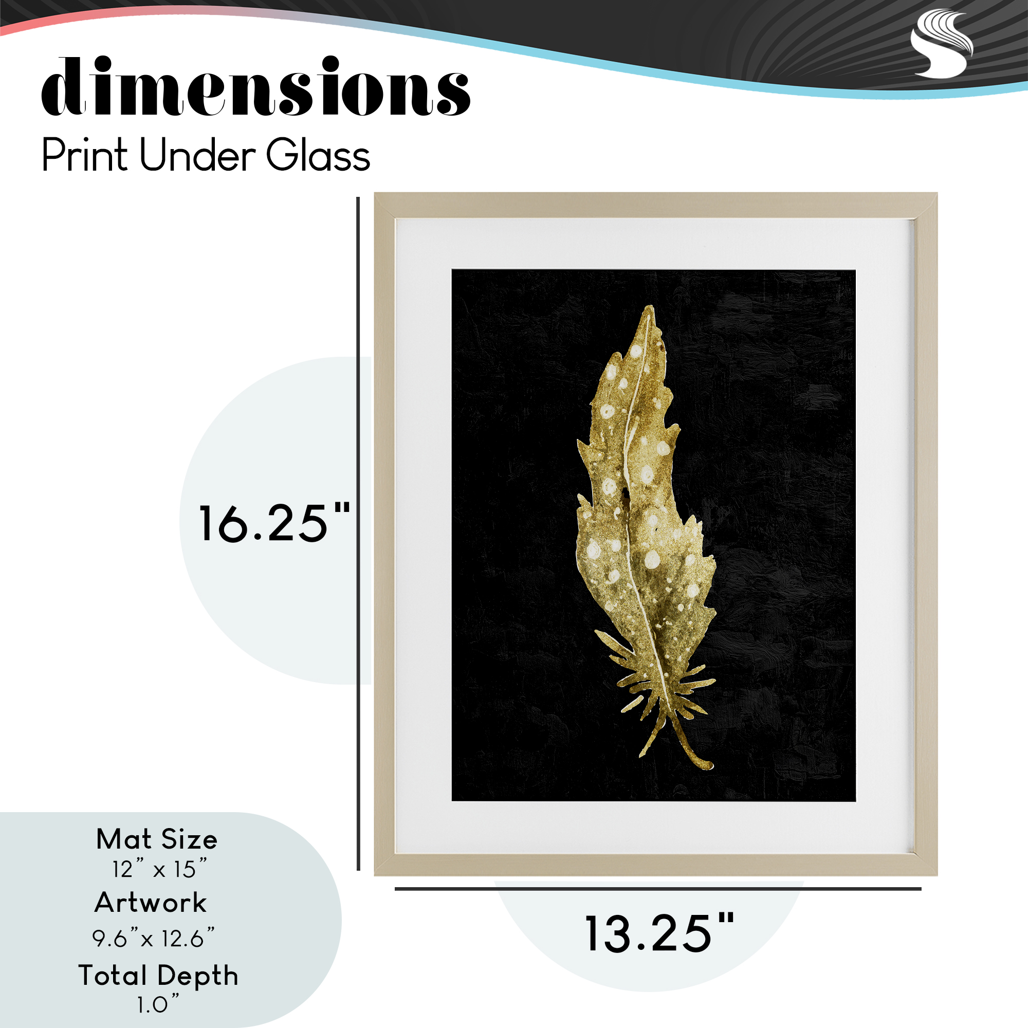 Feather On Black Birch Framed Print Under Glass, design by Kim Allen